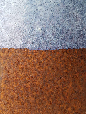 ROSTIO 2 in 1 Rostumwandler & Konservierung R3205_3